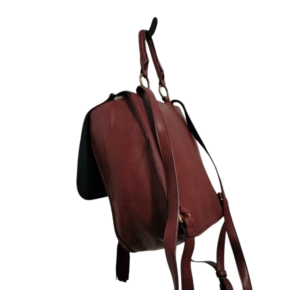 American Eagle Outfitters Burgundy and Dark Brown Backpack